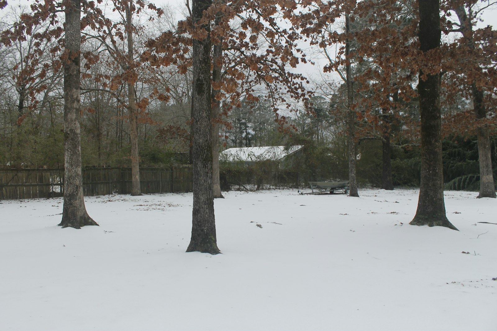 Snow-covered backyard in Pickering
